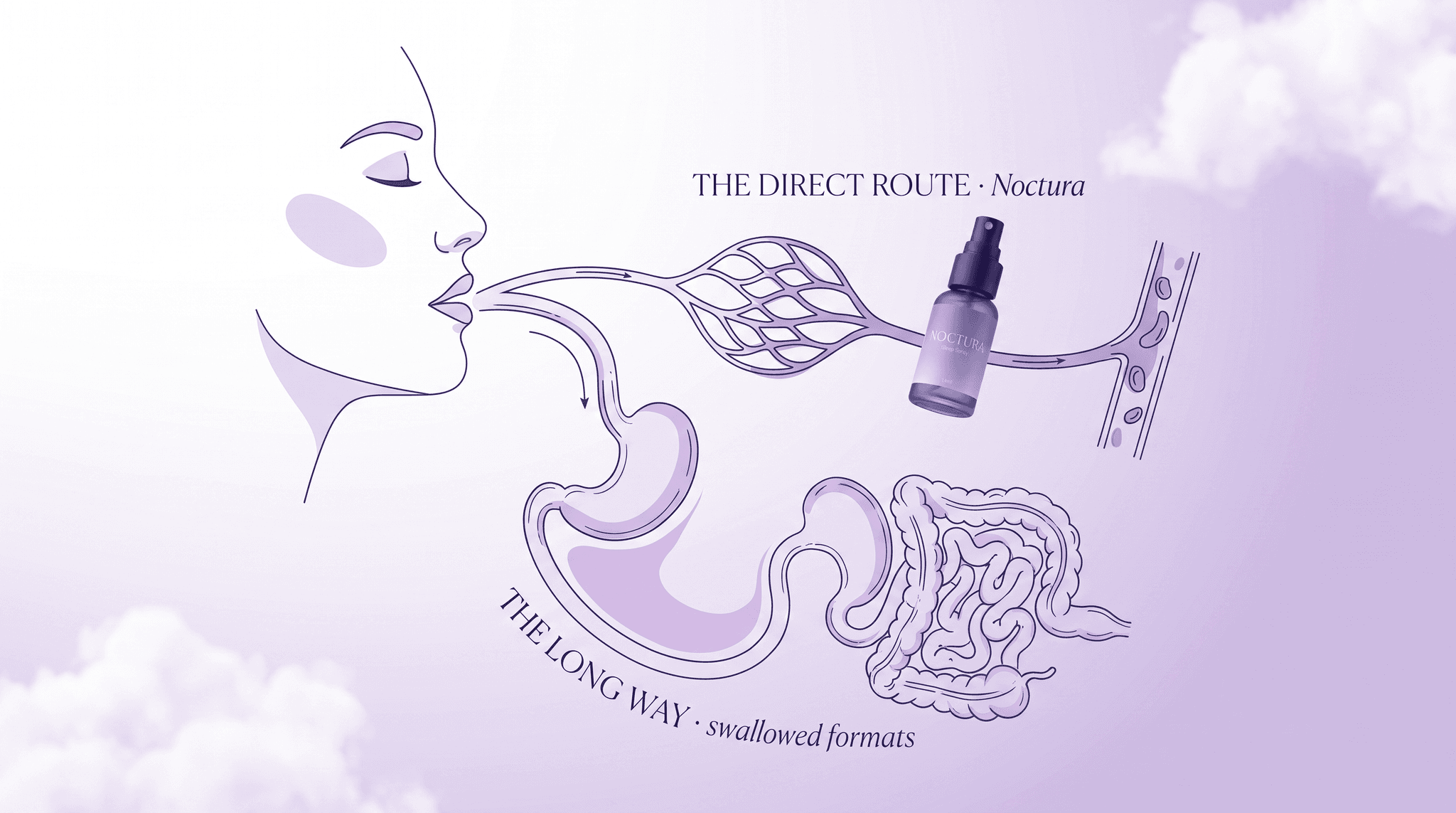 It Skips the Detour Through Your Stomach